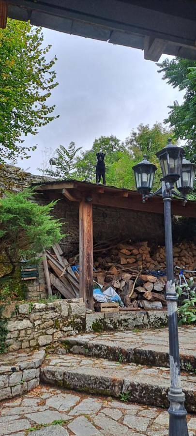 Location de vacances pour 11 personnes, avec jardin et vue, animaux acceptés à Quézac - 2