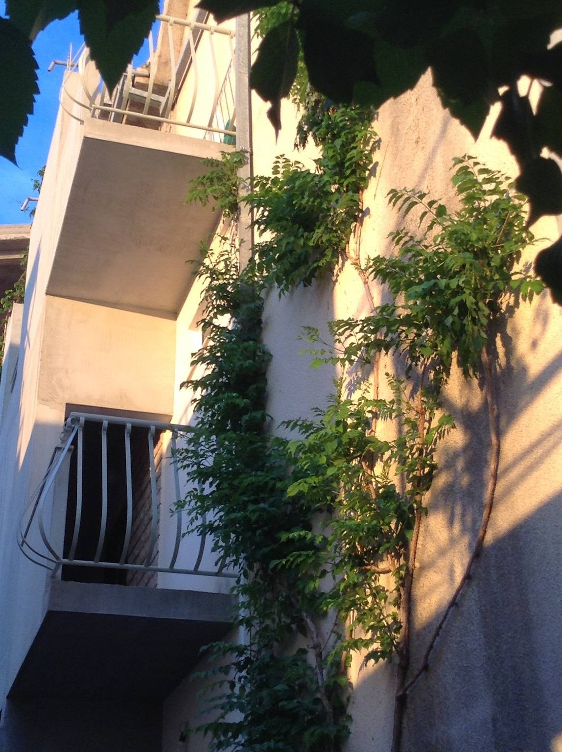 Zimmer mit Terrasse Drasnice, Makarska S-22573-a in Drašnice, Makarska Riviera