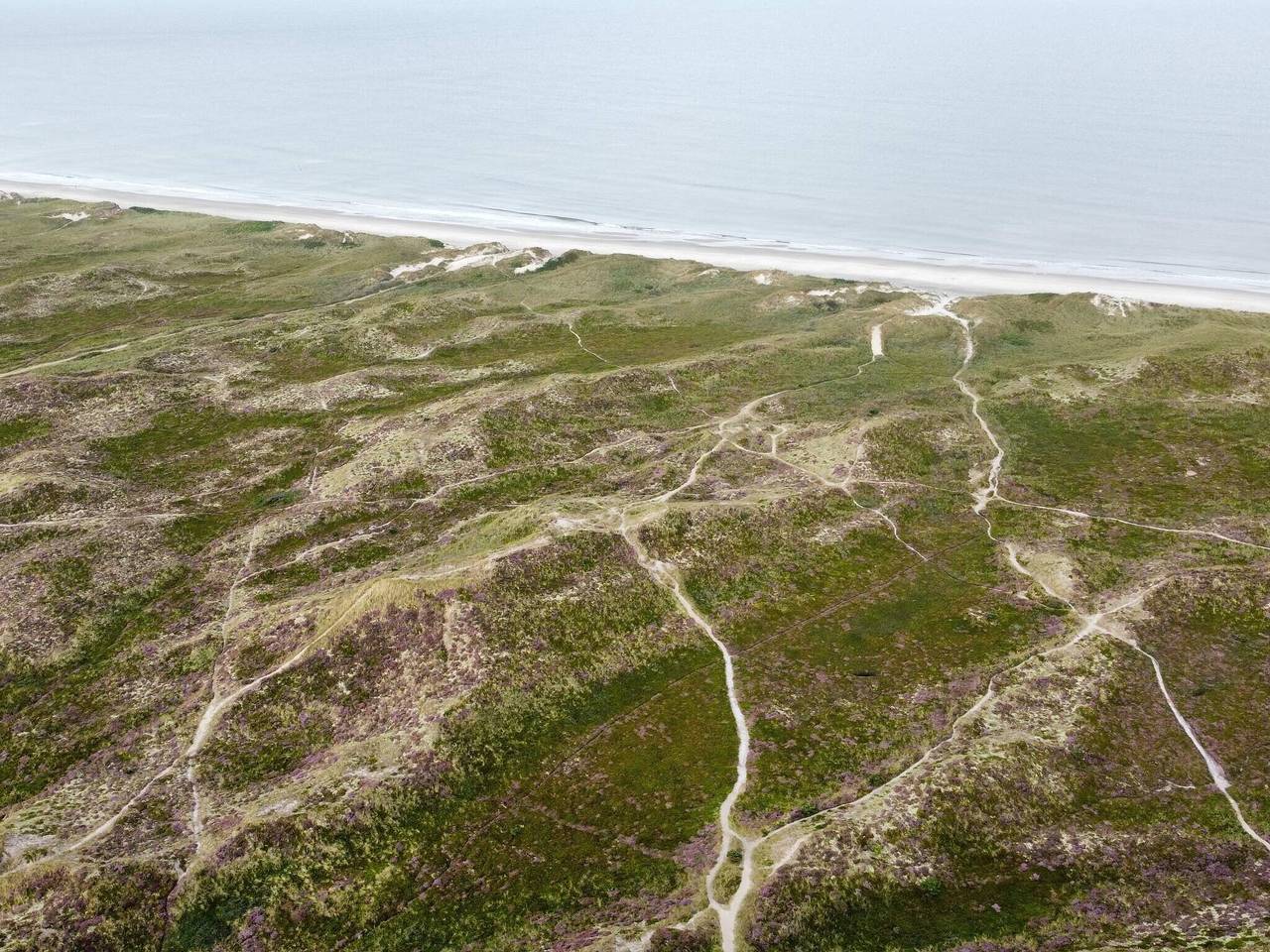 4 Personen Ferienhaus in Hemmet-By Traum in Bork Havn, Ringkøbing Fjord