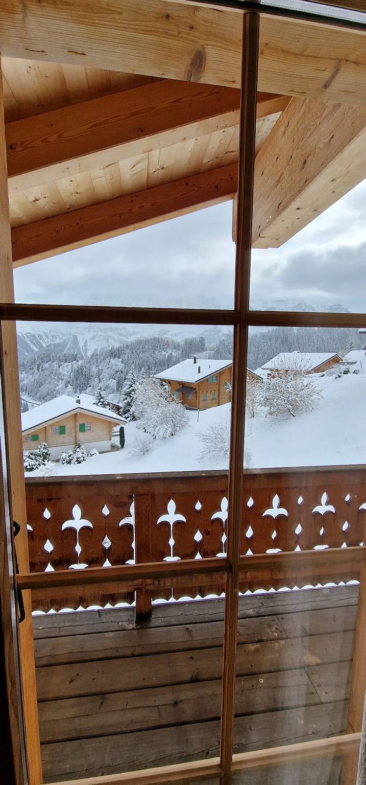 Geheel vakantieappartement, Vakantieappartement voor 14 personen met tuin in Champoussin, Val-d'Illiez