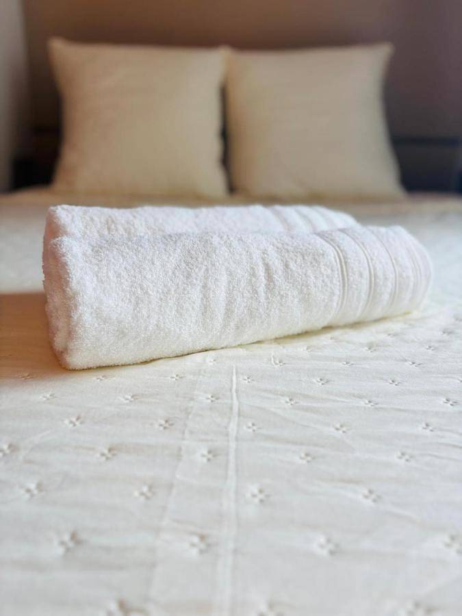 Gîte pour 3 personnes, avec terrasse et vue à Tremblay-en-France - 4