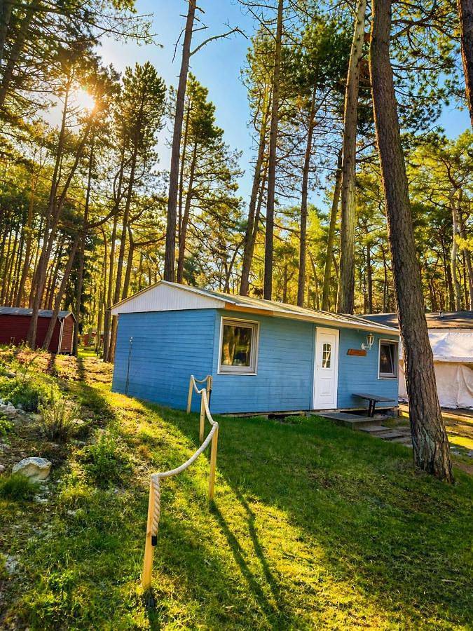 Bungalow für 5 Personen, mit Sauna, mit Haustier in Dranske