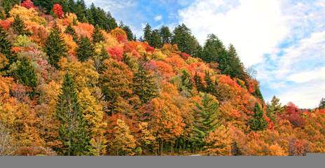 Cabaña para 7 Personas en Great Smokey Mountains parque nacional, Tennessee, Foto 4