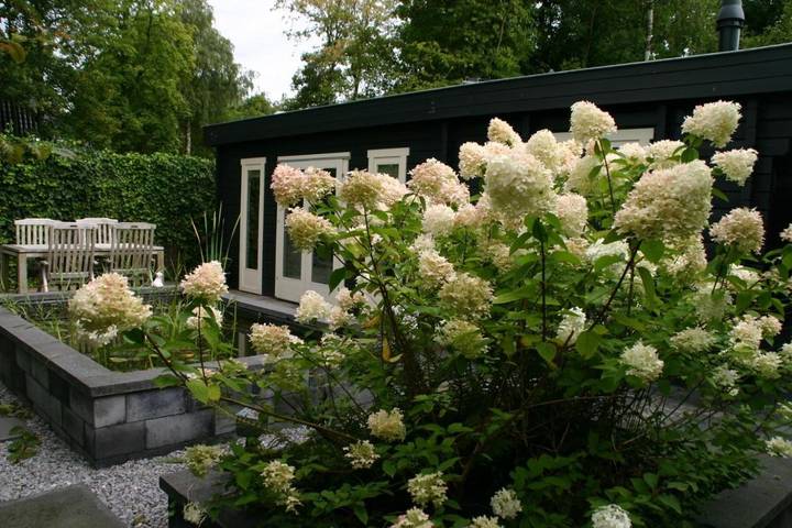Chambre d’hôte pour 2 personnes, avec vue et jardin dans Frise - 2
