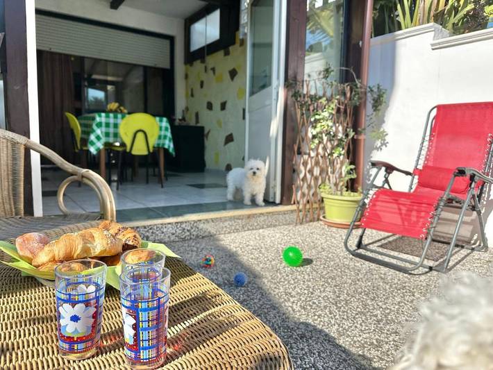 Location de vacances pour 3 personnes, avec jardin, animaux acceptés à San Cataldo - 3