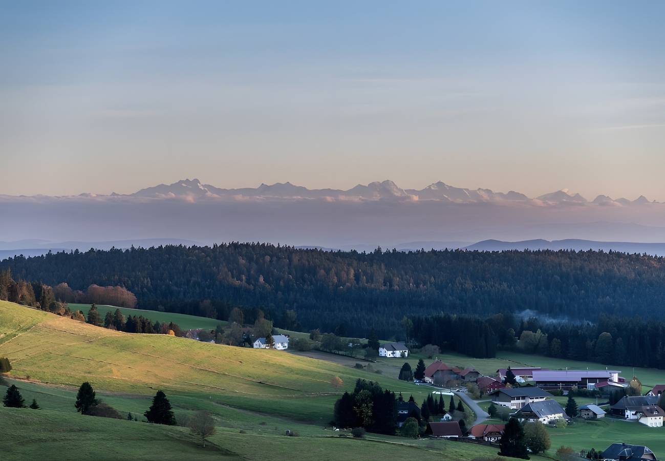 Ganze Wohnung, Schwarzwaldglück Urlaub für Gruppen mit Balkon und Garten (2 Einheiten) in St. Blasien, Südschwarzwald