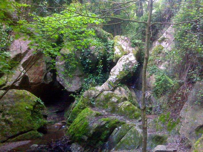 Albergue para 4 personas, con Balcón y Terraza además de Jardín y Piscina en Parque natural del Montseny - 2
