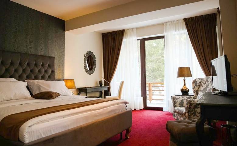 Gîte pour 2 personnes, avec jardin ainsi que jacuzzi et sauna à Sinaia - 3