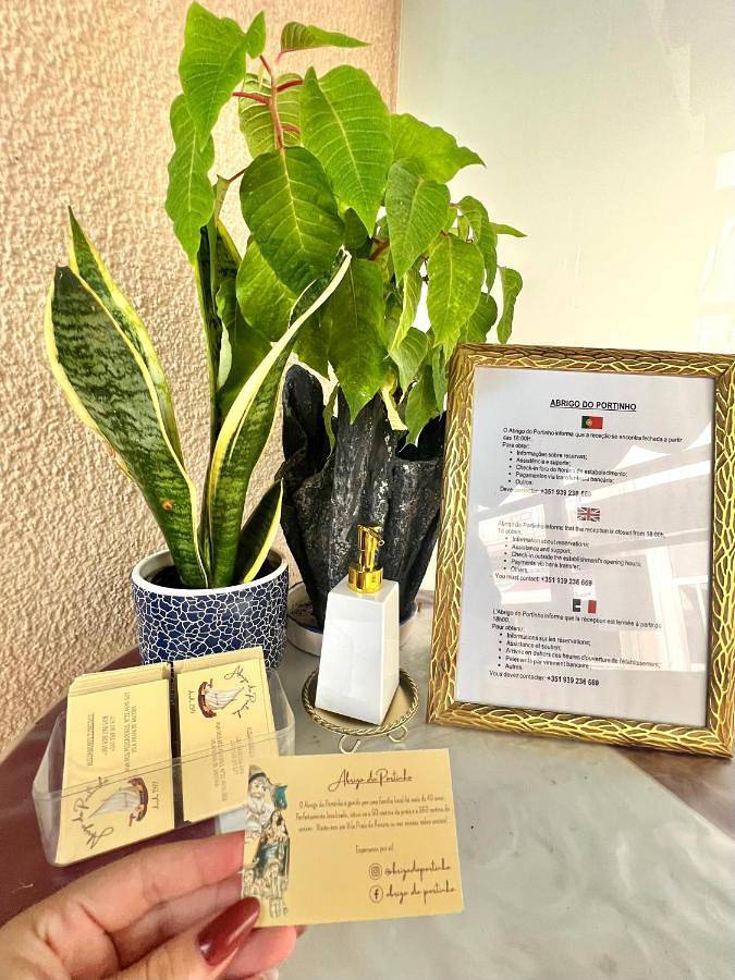 Maison d’hôte pour 2 personnes, animaux acceptés à Vila Praia de Ancora - 2