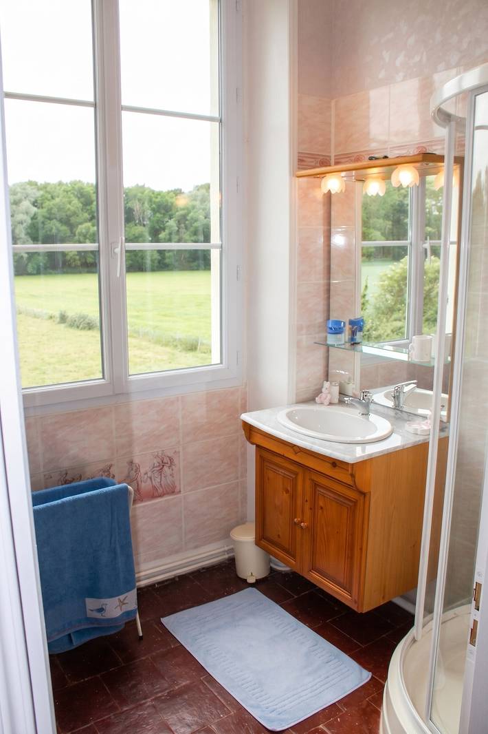 Manoir charmant à Beaumont-en-Véron avec jardin in Beaumont-en-Véron, Vallée de la Loire