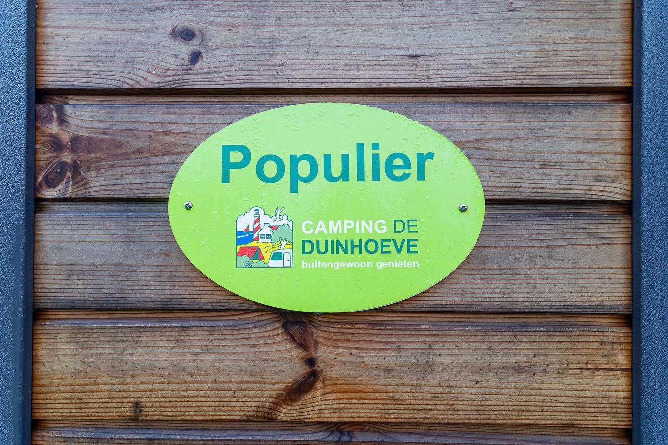 Duinlodge 4p - Camping Duinhoeve - Zeeland | glamping met het hele gezin | Maireweg 7  in Burgh-Haamstede, Zeeuwse Kust