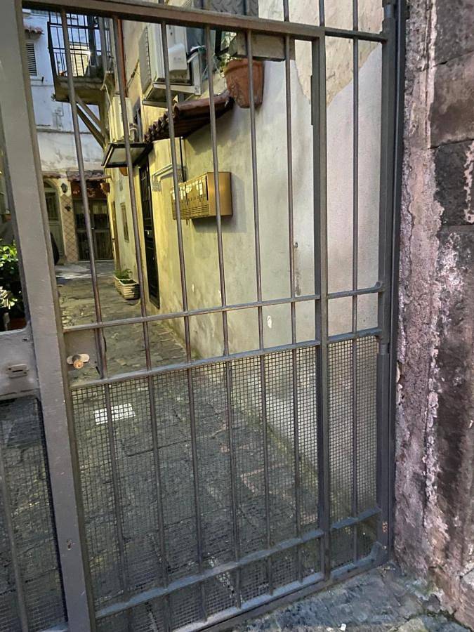 Chambre d’hôte pour 2 personnes, animaux acceptés à Ercolano - 3