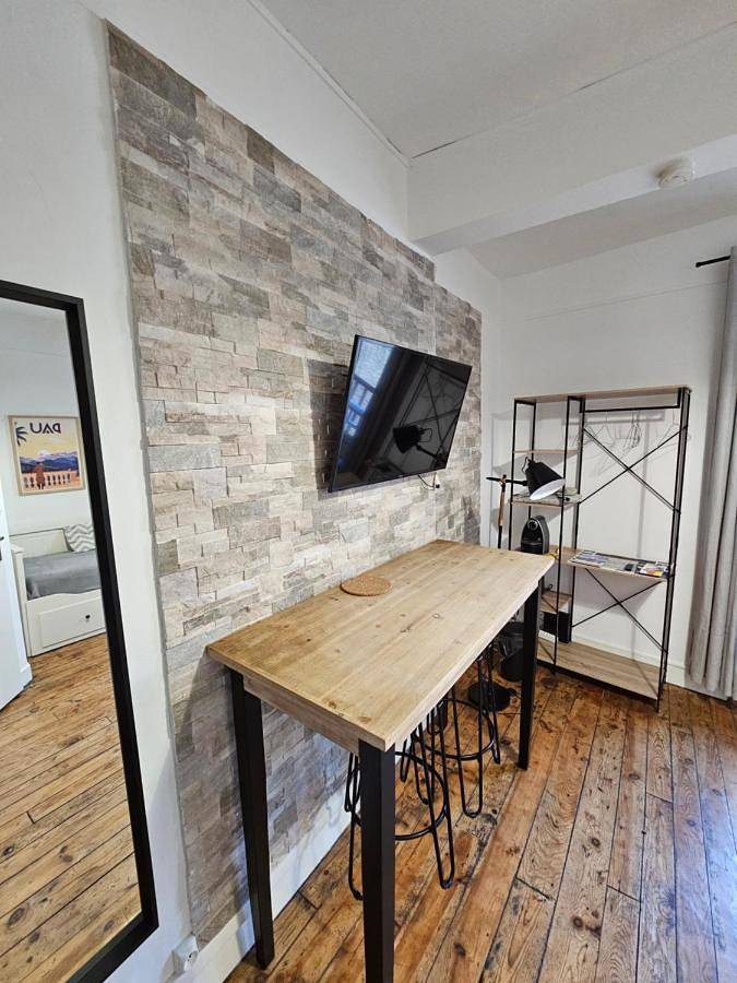 Appartement entier, Le Henri Iv - hyper centre - quartier du château in Pau, Béarn