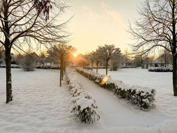 Ferienpark für 6 Personen in Dobbin-Linstow, Mecklenburgische Seenplatte, Bild 3