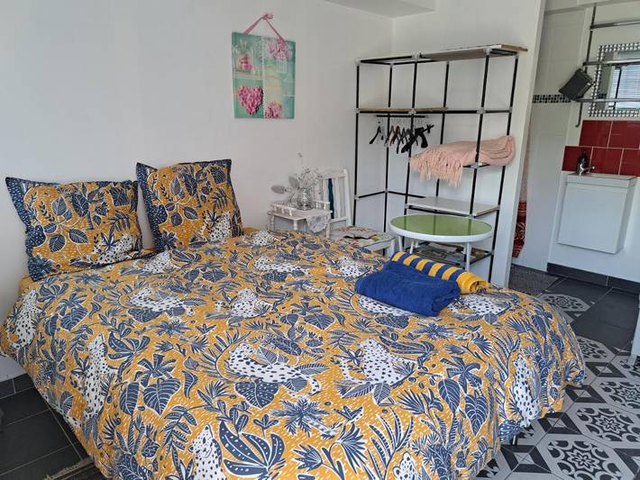 Gîte pour 5 personnes, avec sauna ainsi que jardin et jacuzzi à Westhalten - 3