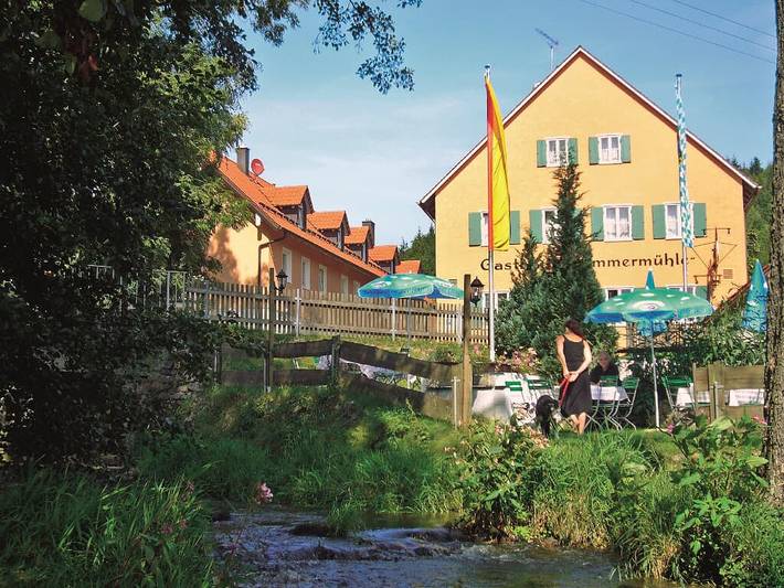 Landgasthof-Hotel Hammermühle - Einzelzimmer in Donaustauf, Ostbayern