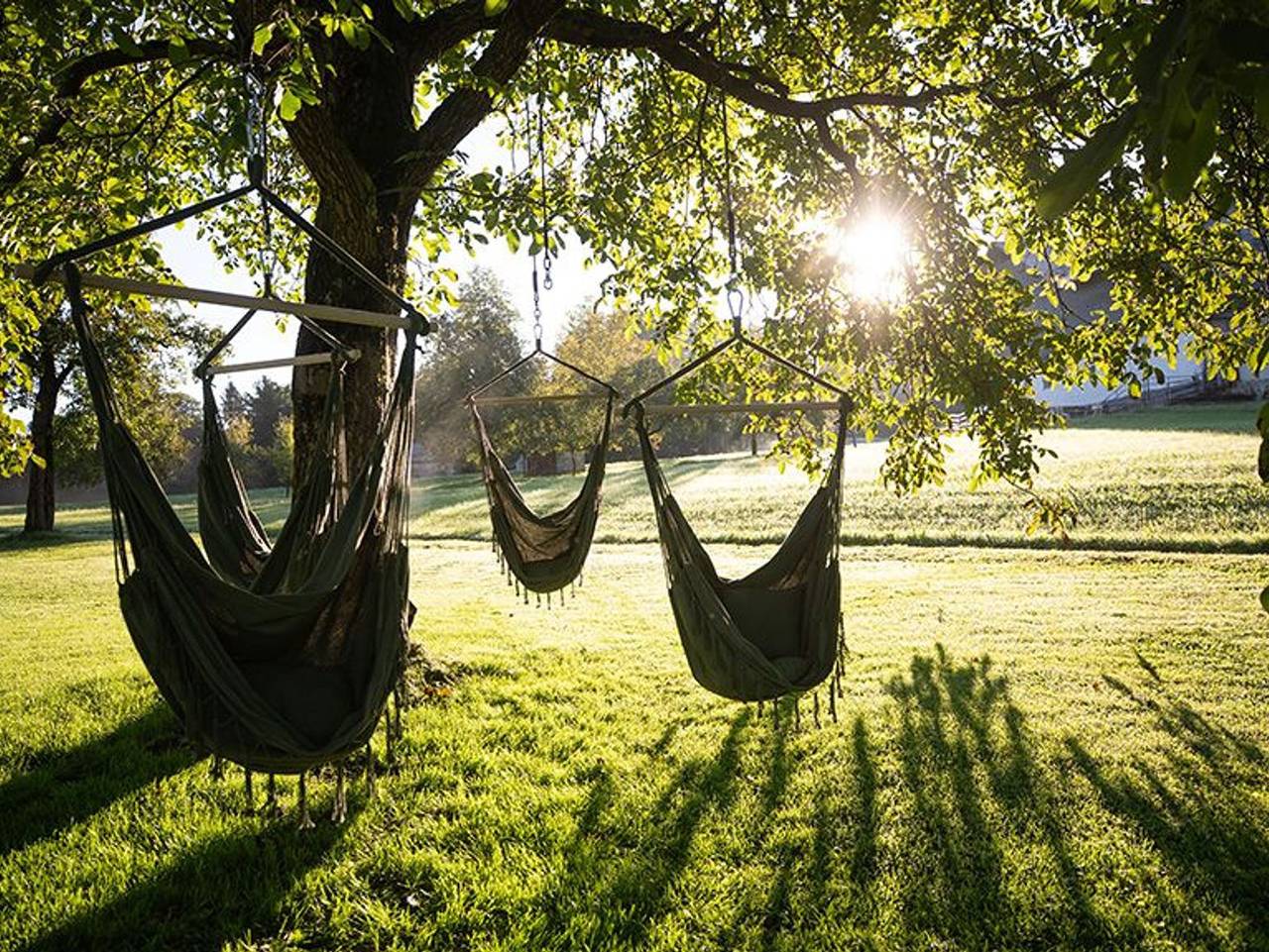 Ganze Ferienwohnung, Das Hinterwald - Ferienwohnung Heidi in Innerschwand am Mondsee, Mondsee & Irrsee