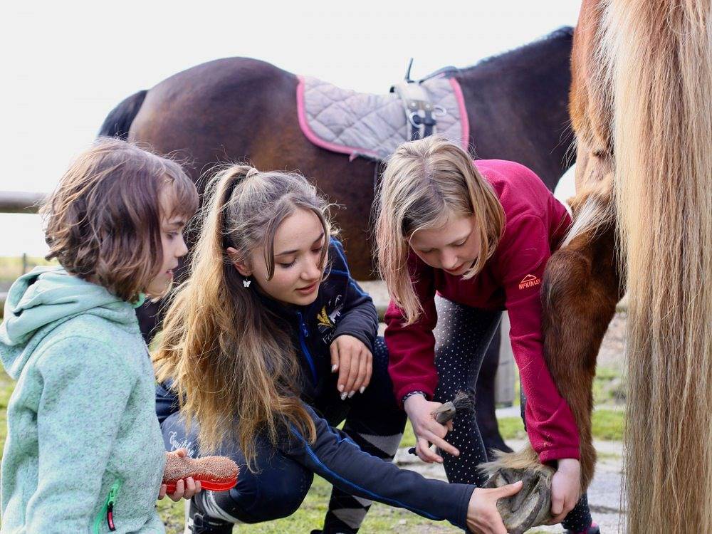Ferienhof Wulff - Habel in Reußenköge, Nordfriesland
