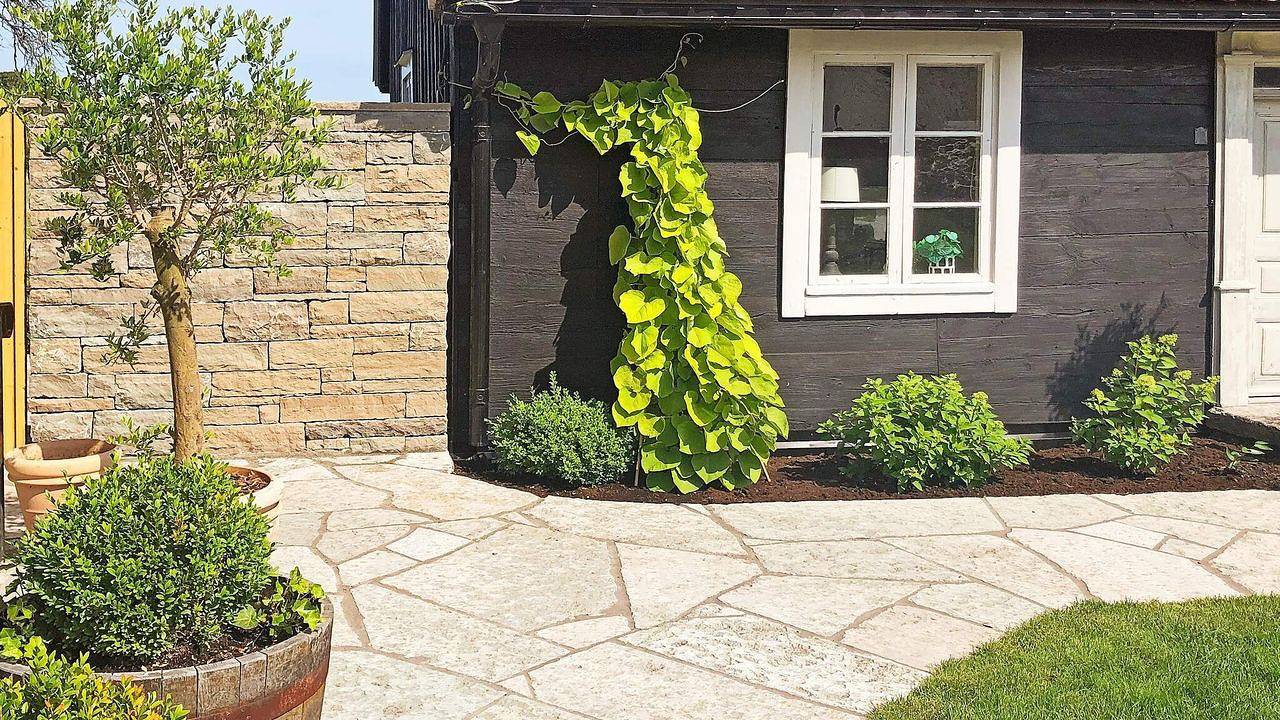 Ferienhaus für 6 Personen (70 m²) in Köpingsvik in Öland