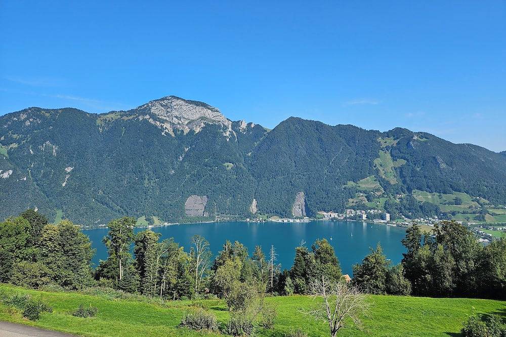 Ganze Wohnung, Apartment Edelweiss – atemberaubende See- und Bergsicht, ruhig, sonnig, Terrasse in Treib, Seelisberg