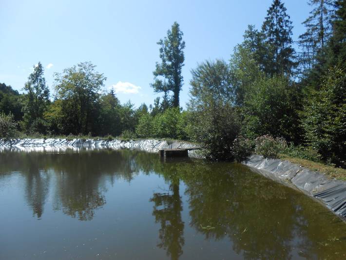 Gîte pour 4 personnes, avec terrasse, animaux acceptés dans Haute-Saône - 3