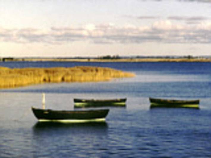 Ganze Ferienwohnung, Rügen-Fewo 185 - Fewo Fisch in Waase, Ummanz