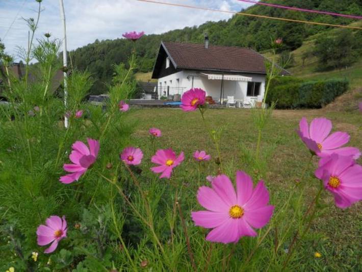 Gîte pour 3 personnes, avec Terrasse et Jardin à La Bresse