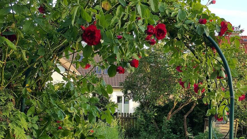 Ferienwohnung für 3 Personen, mit Garten in Blankensee (Mecklenburg) - 3