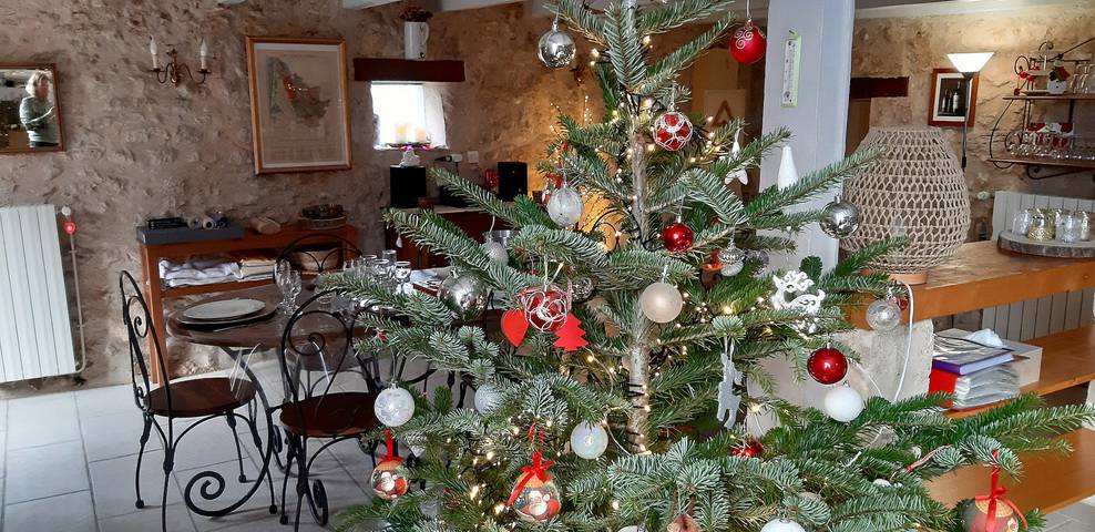 Location de vacances pour 12 personnes, avec jardin, animaux acceptés en Dordogne