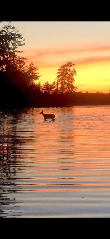 Camping for 8 Guests in Acton (Maine), Maine, Picture 2