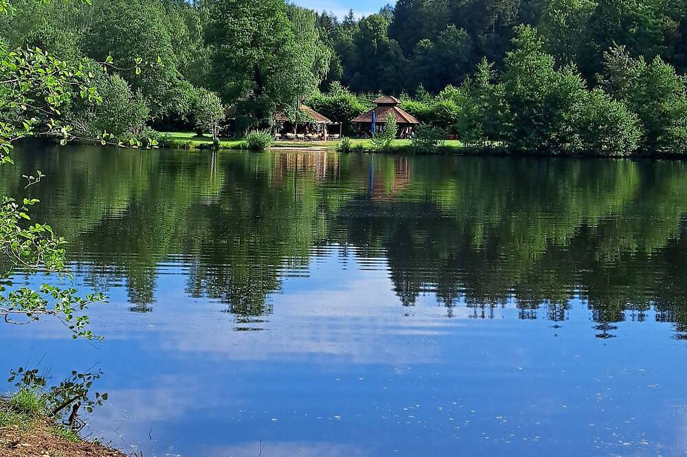 Ganze Wohnung, Gemütlichezwei-Zimmer-Wohnung Erdgeschoß barrierefrei zu erreichen mit Terasse in Ludwigswinkel, Landkreis Südwestpfalz
