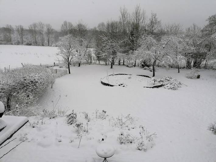 Gîte pour 3 personnes, avec jardin et vue, animaux acceptés à Roetgen - 4