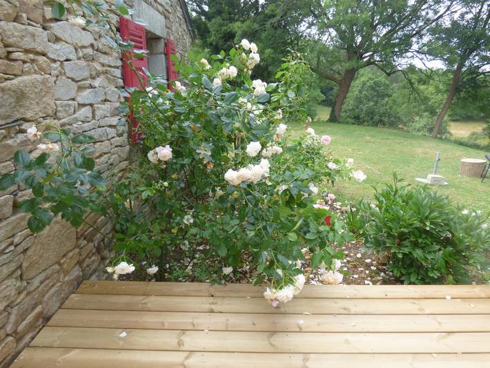 Gîte pour 6 personnes, avec jardin et terrasse, animaux acceptés à Bono - 4