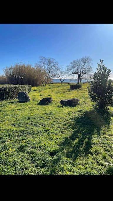 Casa Serena avec accès direct mer, jardin et barbecue in Poggio-Mezzana, Corte und Umgebung