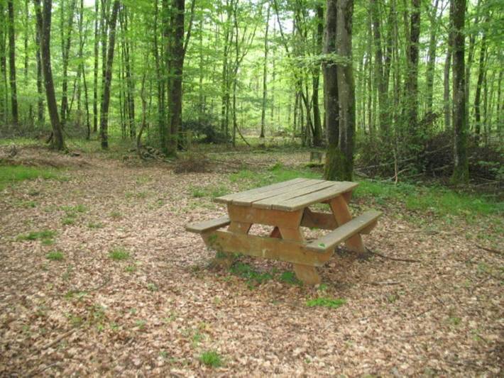 Chambre d’hôte pour 6 personnes, avec terrasse, adapté aux familles dans Yonne - 4