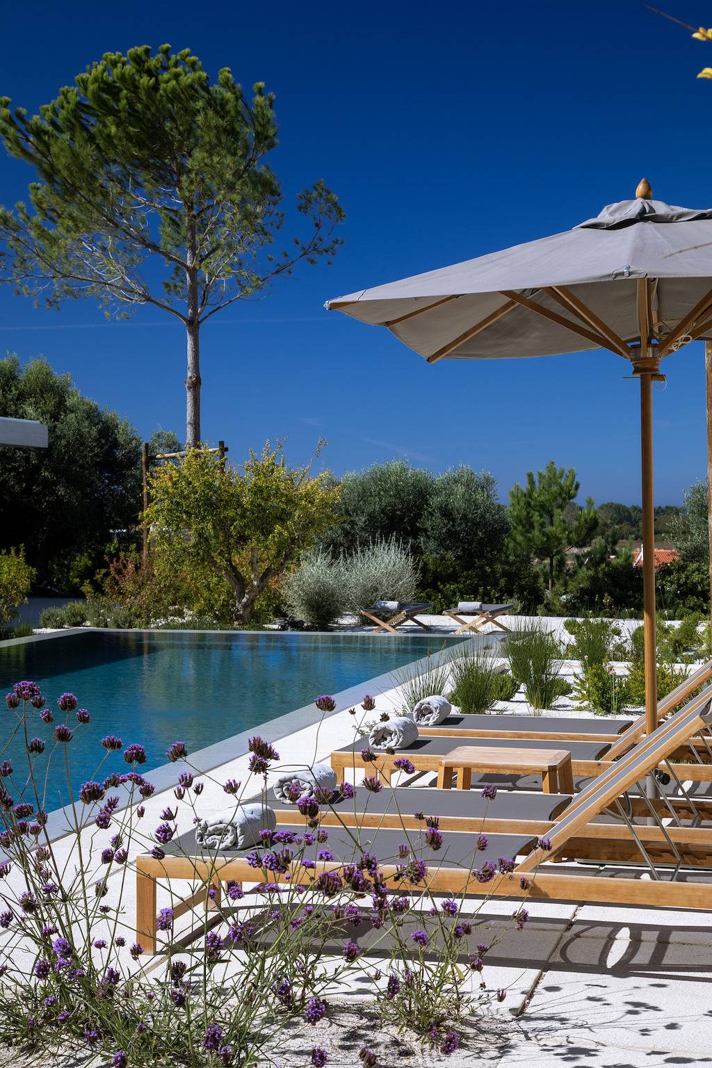 Villa Fibi in Praia do Carvalhal, Carvalhal