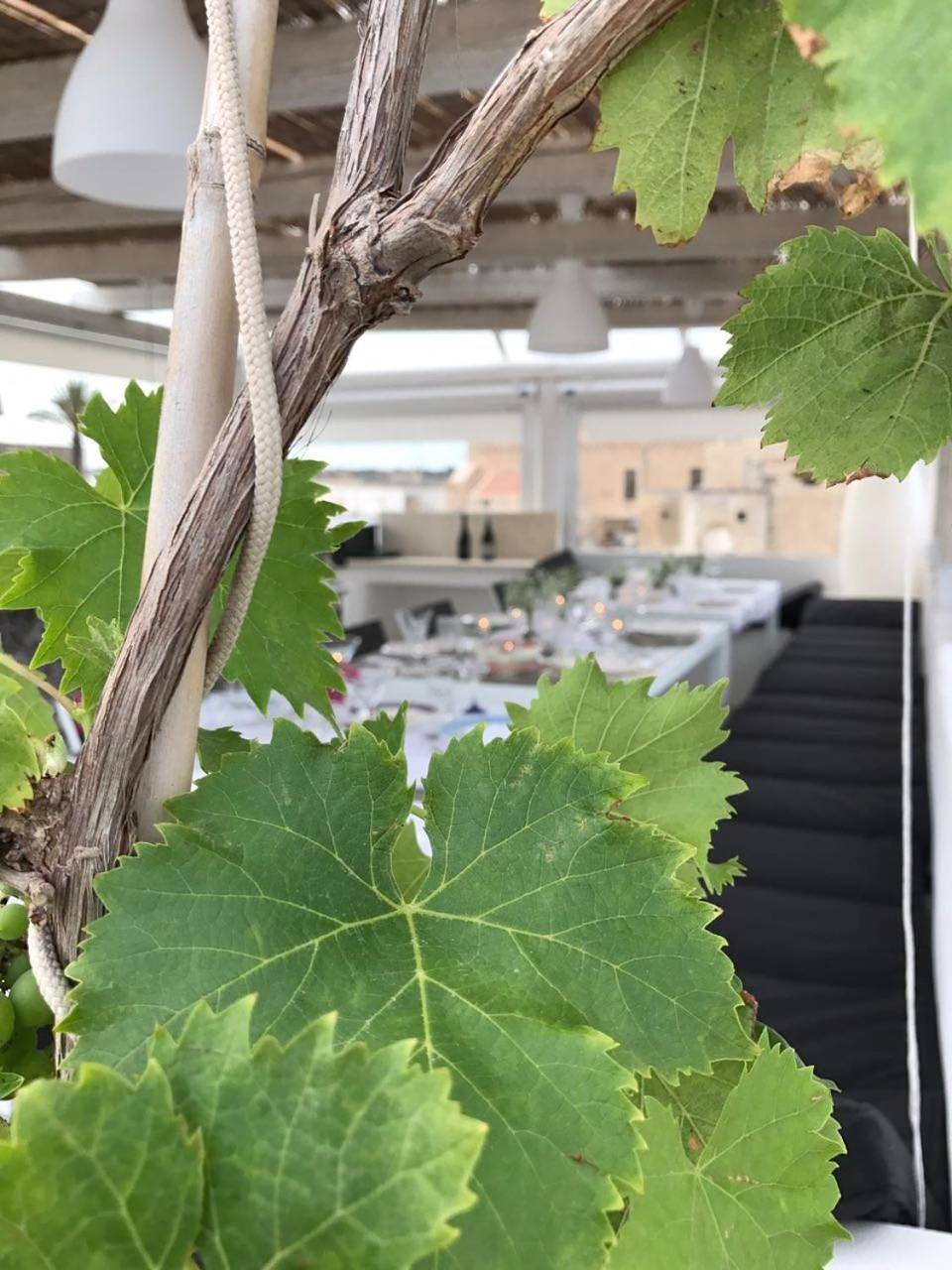 B&B Luvì in Maruggio, Golfo di Taranto