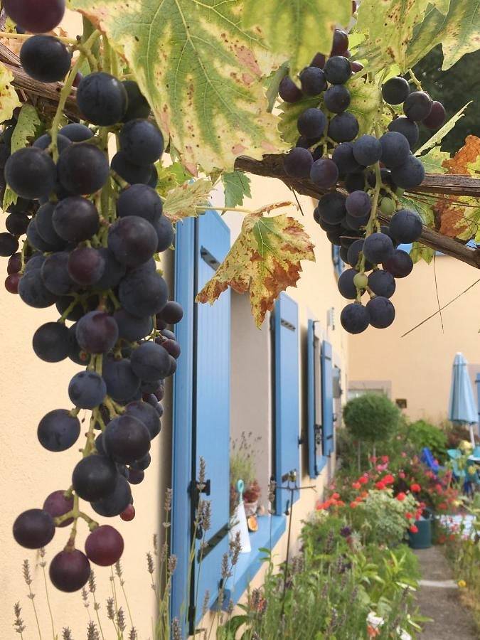 Chambre d’hôte pour 2 personnes, avec jardin à Mélisey - 3