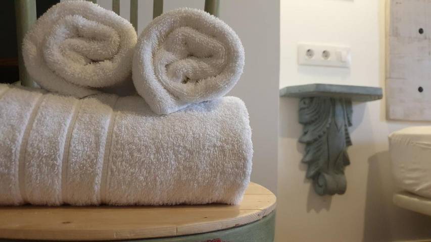 Maison de campagne pour 13 personnes, avec jardin à Ségovie - 4