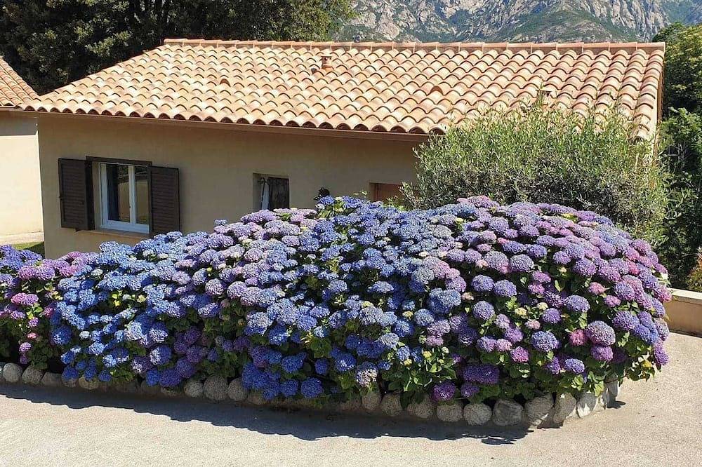 D'Oro - Bocognano - Guest house in Bocognano, Regionaler Naturpark Korsika