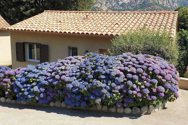 D'Oro - Bocognano - Guest house in Bocognano, Regionaler Naturpark Korsika