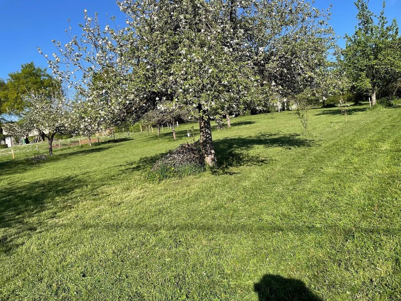 Country House 'David' with Private Terrace and Garden in Nantiat, Bellac region