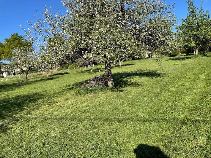 Location de vacances pour 8 personnes, avec jardin à Nantiat - 3