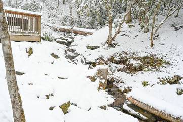 Log Cabin for 4 Guests in Cherokee, Swain County, Picture 1