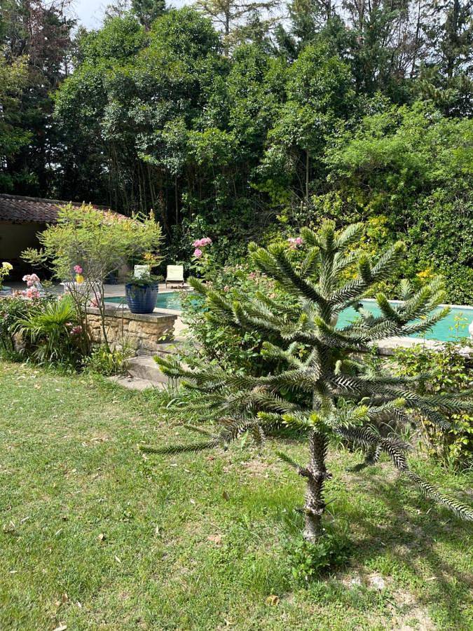 Location de vacances pour 16 personnes, avec piscine et terrasse à Puyvert - 4