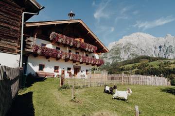 Bauernhaus für 4 Personen in Leogang, Kitzbüheler Alpen, Bild 1