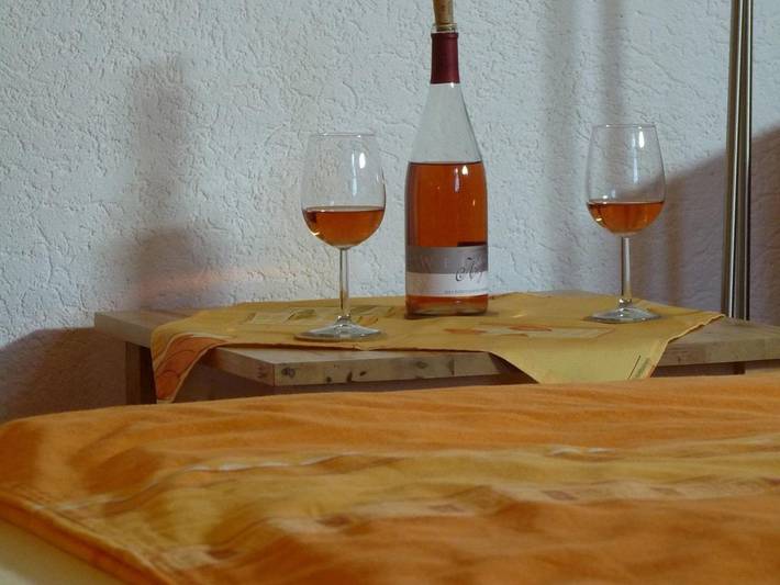 Hotel für 3 Personen, mit Balkon und Garten, kinderfreundlich in Annweiler - 3