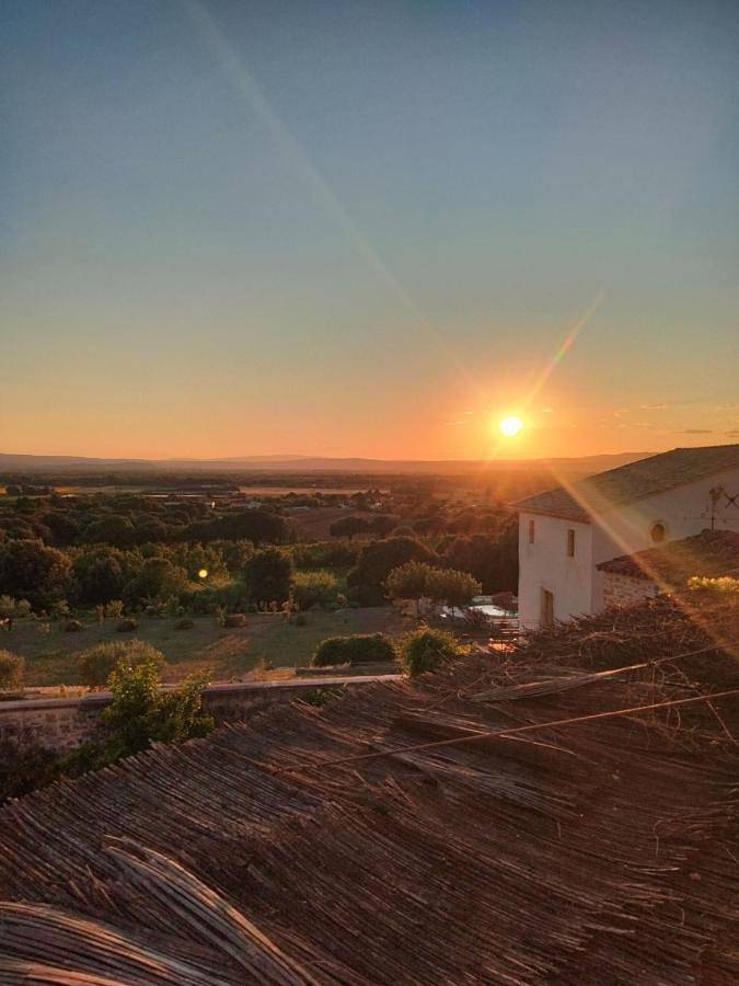 Location de vacances pour 10 personnes, avec jacuzzi et jardin ainsi que bassin pour enfant et piscine, adapté aux familles à Bollène - 4