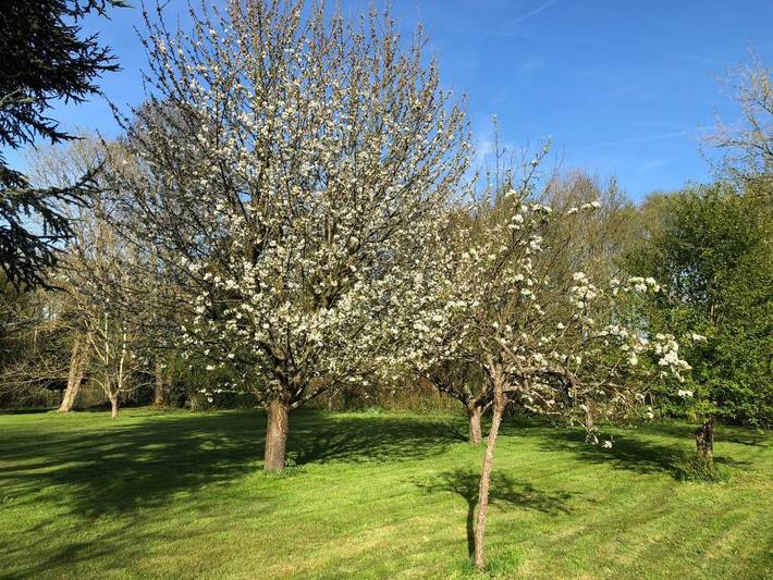 Chambre d’hôte pour 2 personnes, avec jardin et vue dans Parc naturel régional de la Haute Vallée de Chevreuse - 2