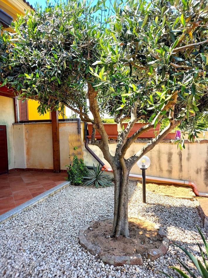 Apartamento entero, Affittimoderni Valledoria Ulivo in La Muddizza, Valledoria